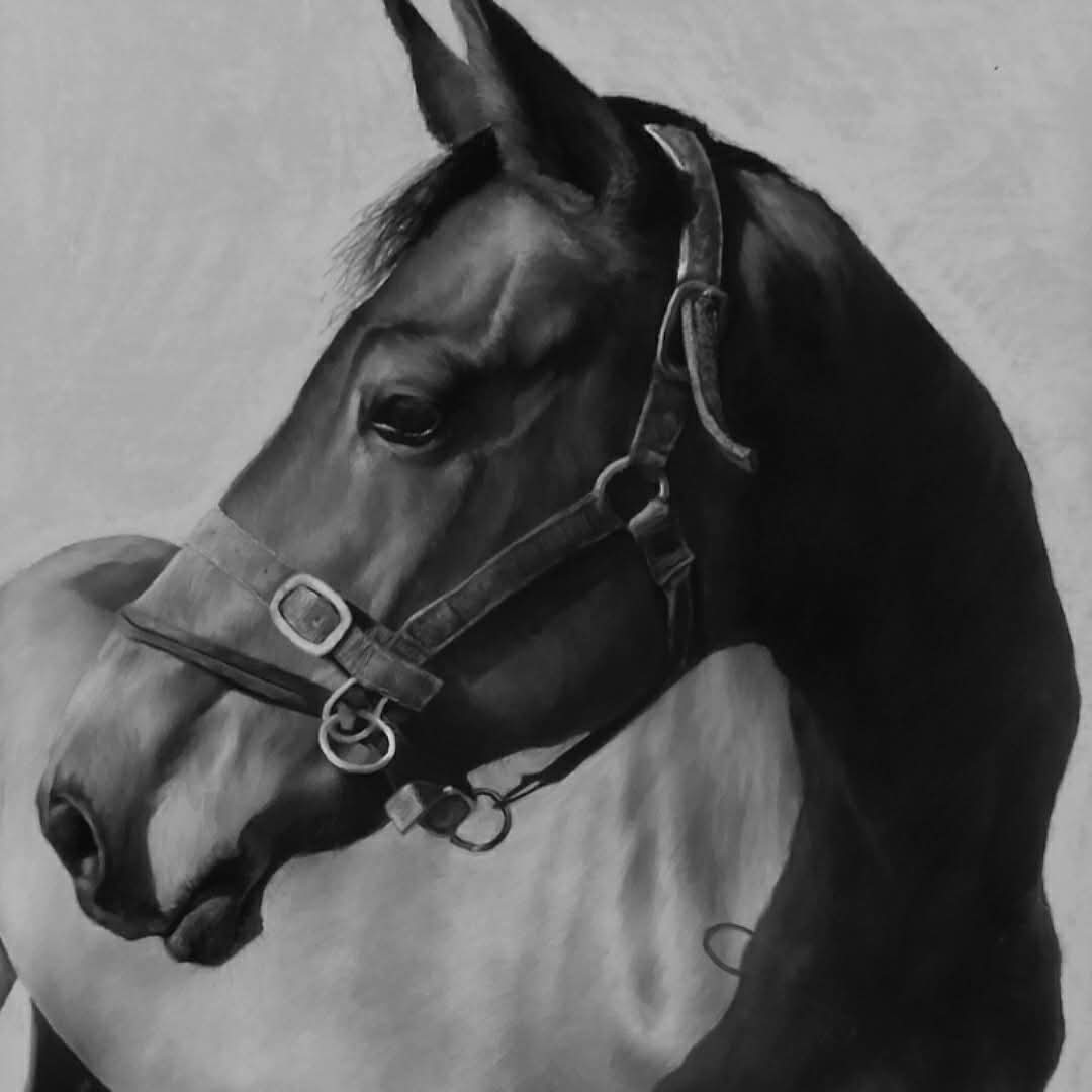 Sat 27th June - Animal Portraits in Charcoal & Chalk