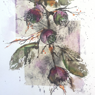 Sat 28th March - Texture in Nature in mixed media