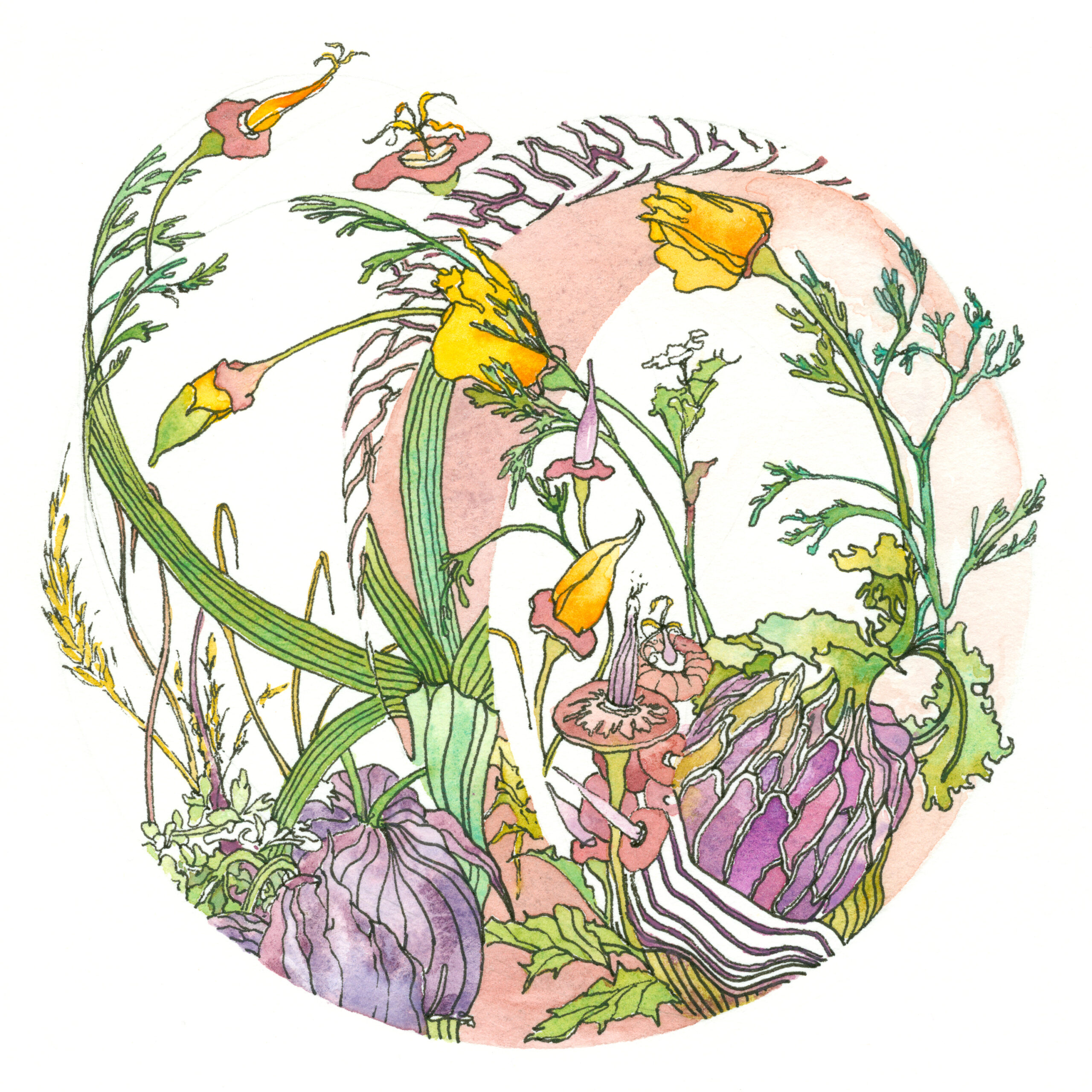 Fri 24th - Sun 26th April - Colour Temperature Workshop