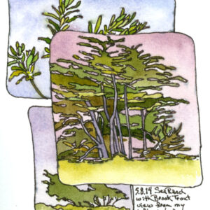 Fri 24th - Sun 26th April - Colour Temperature Workshop