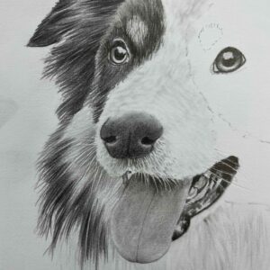 Sat 16th Jan - Animal Portraits in graphite