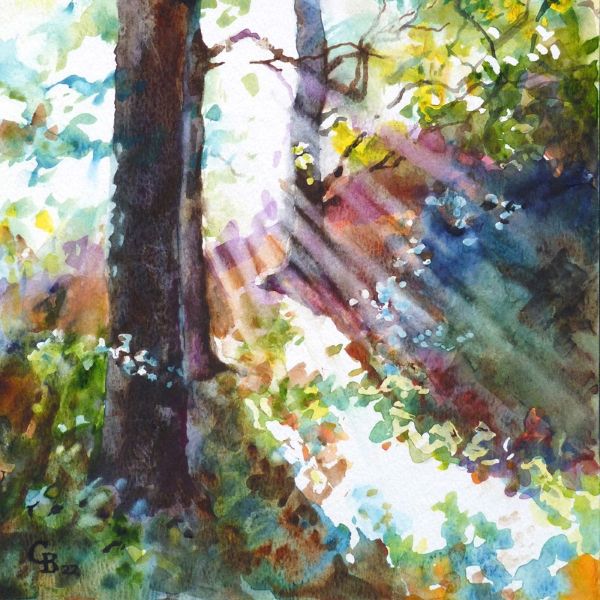 Sat 31st Oct - Woodland Light in watercolour